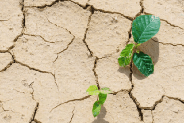 siccità elettropompe